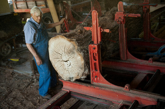 Senior man works at a sawmill; Cortland, Nebraska, United States of America