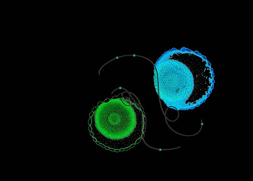 Two ink blot creations in green, blue and black; Artwork