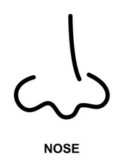 human nose simple line on white background icon illustration on transparent background