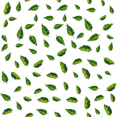Floral pattern with green leaves on white background. Vector seamless pattern with oil or acrylic painting green leaves
