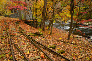 Autumn leaves cover railroad tracks at the DuPont Powder Mill in Delaware, USA; Wilmington, Delaware, United States of America