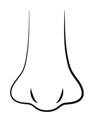 nose, beauty hand drawn on white background icon illustration on transparent background