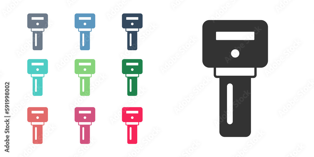Poster black car key with remote icon isolated on white background. car key and alarm system. set icons col