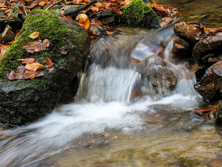 Fototapeta na wymiar Beautiful creek in mountain forest. Forest creek in autumn.