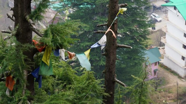 sacred religious multicolored prayer flags old and tattered torn tied between trees moving in the wind showing a bhuddist prayer incantation common in hill stations in Himachal Pradesh India