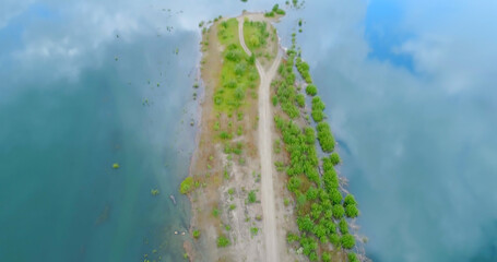 Aerial view of trees amidst lake