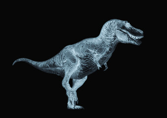 Fototapeta premium tyrannosaurus rex is walking like a king in white background