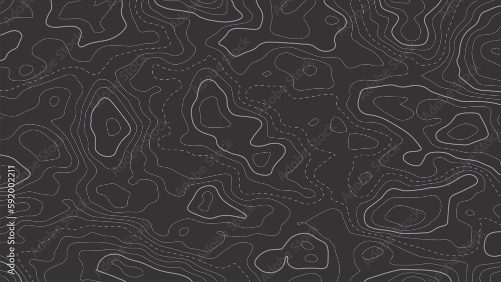 Poster topographic map background. terrain height map generation. grid map. abstract vector illustration.