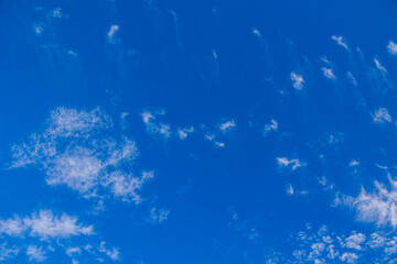 Fototapeta na wymiar natural blue sky background on a sunny day with clouds