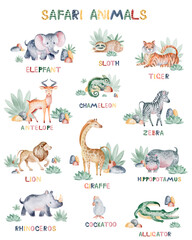 Poster Safari Animals for children's education. Names of African animals. Watercolor illustration of cartoon animals. For children's books, postcards, stickers, posters. © Elena