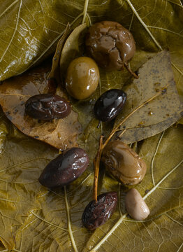 Close-up of a variety of oiled olives lying on leaves; Studio