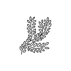 Fototapeta na wymiar tropical plant leaf hand drawn icon