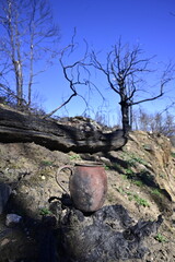 Incendio sierra de la culebra 