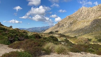 Crique de Cala Boquer sur l'île de Majorque