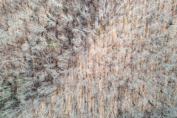 Aerial View - Gelendzhik, Russia