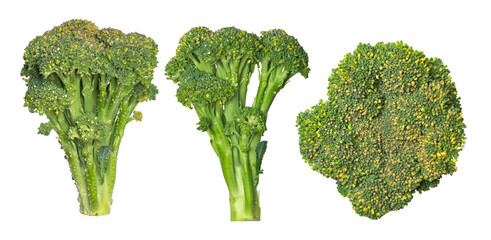 Set of fresh broccoli isolated on transparent background