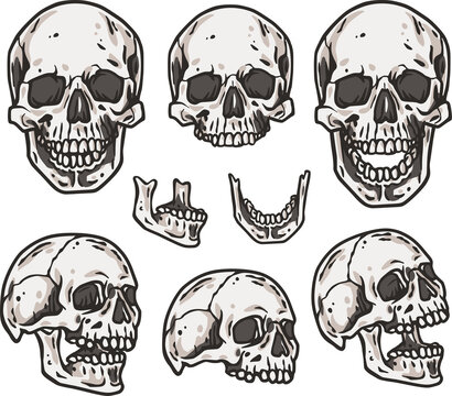 Skull vector set for halloween design. Skeleton head collection or bone brutal skull.