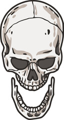 Skull vector for halloween design. Skeleton head or bone brutal skull.