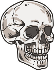 Skull vector for halloween design. Skeleton head or bone brutal skull.