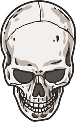 Skull vector for halloween design. Skeleton head or bone brutal skull.