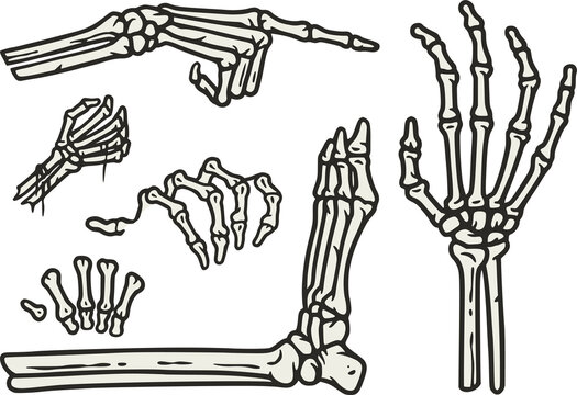 Skeleton hand gesture set with bone and leg for halloween design. Hand bones gesture collection or vector graphic elements for tattoo.