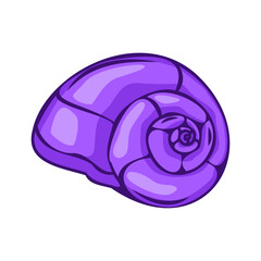 Seashells underwater icon, vector illustration.