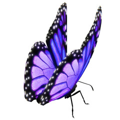 Glowing blue and purple butterfly with textured scaly wings.