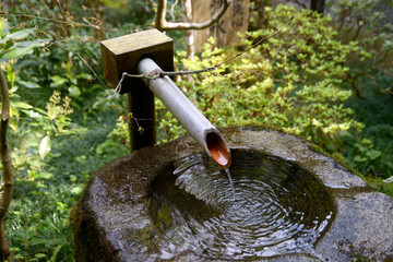 春の三千院　庭園の手水鉢　京都市左京区大原
