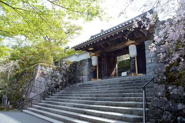 春の三千院　山門　京都市左京区大原