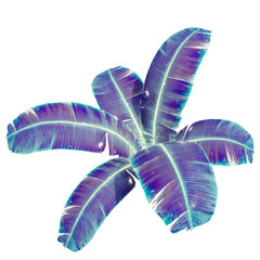 Neon tropical leaves of palm trees and other plants.  Ultraviolet pink, blue, turquoise.