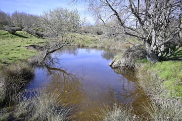 ruta por villardeciervos
