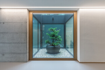 Baum im Glasw&uuml;rfel