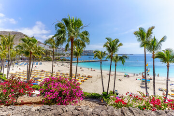 Landscape with Anfi beach,  Gran Canaria, Spain © Balate Dorin