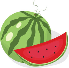 Juicy watermelon. Chopped watermelon. High quality vector illustration.