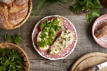 Young ground elder leaves and common daisy blossoms on slices of bread