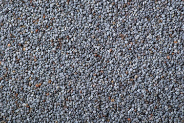 Close up of poppy seed. Background of poppy seed grain used in culinary
