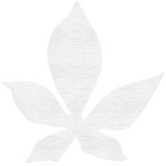 Gordijnen Digitally generated of chestnut leaf © vectorfusionart