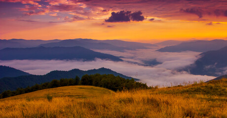awesome summer foggy scenery, scenic sunset view in the mountains, Carpathian national park, Ukraine, Europe