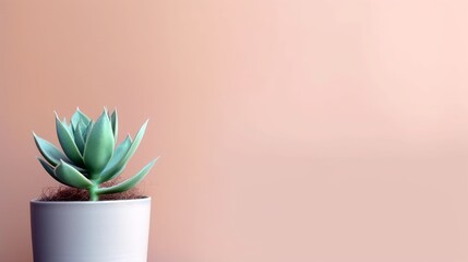 A potted succulent plant placed in the lower - right corner, providing ample space above and to the left for text, complemented by a pastel background that highlights the plant's. Generative ai.