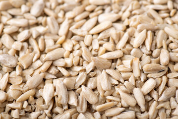 Close up peeled sunflower grain. Fresh harvested sunflower seeds