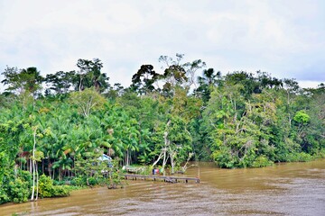 Fahrt durch Regenwald