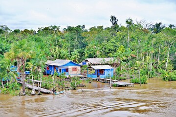 Fahrt durch Regenwald