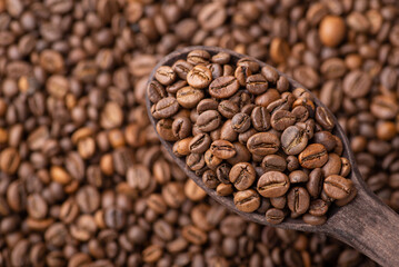 Close up of roasted coffee beans in dark wooden spoon. Checking quality of coffee just after roasting