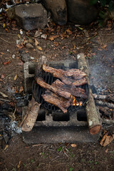Fototapeta na wymiar Several pork ribs on a handmade block and log spit. Outdoor barbecue