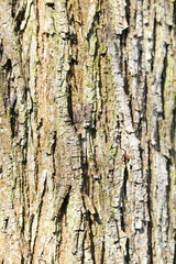 Asphalt, brick, stones and wooden texture. Yellow and green graphic materials	