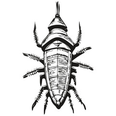cockroach logo, black and white illustration hand drawing cockroaches