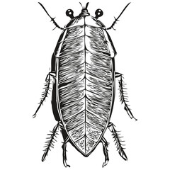 cockroach logo, black and white illustration hand drawing cockroaches