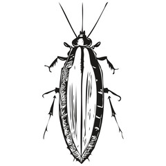 cockroach sketchy, graphic portrait of a cockroach on a white background, cockroaches