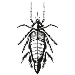 cockroach vector illustration line art drawing black and white cockroaches