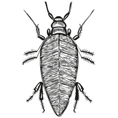 Vintage engrave isolated cockroach illustration cut ink sketch cockroaches
